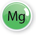 Mg Magneziu
